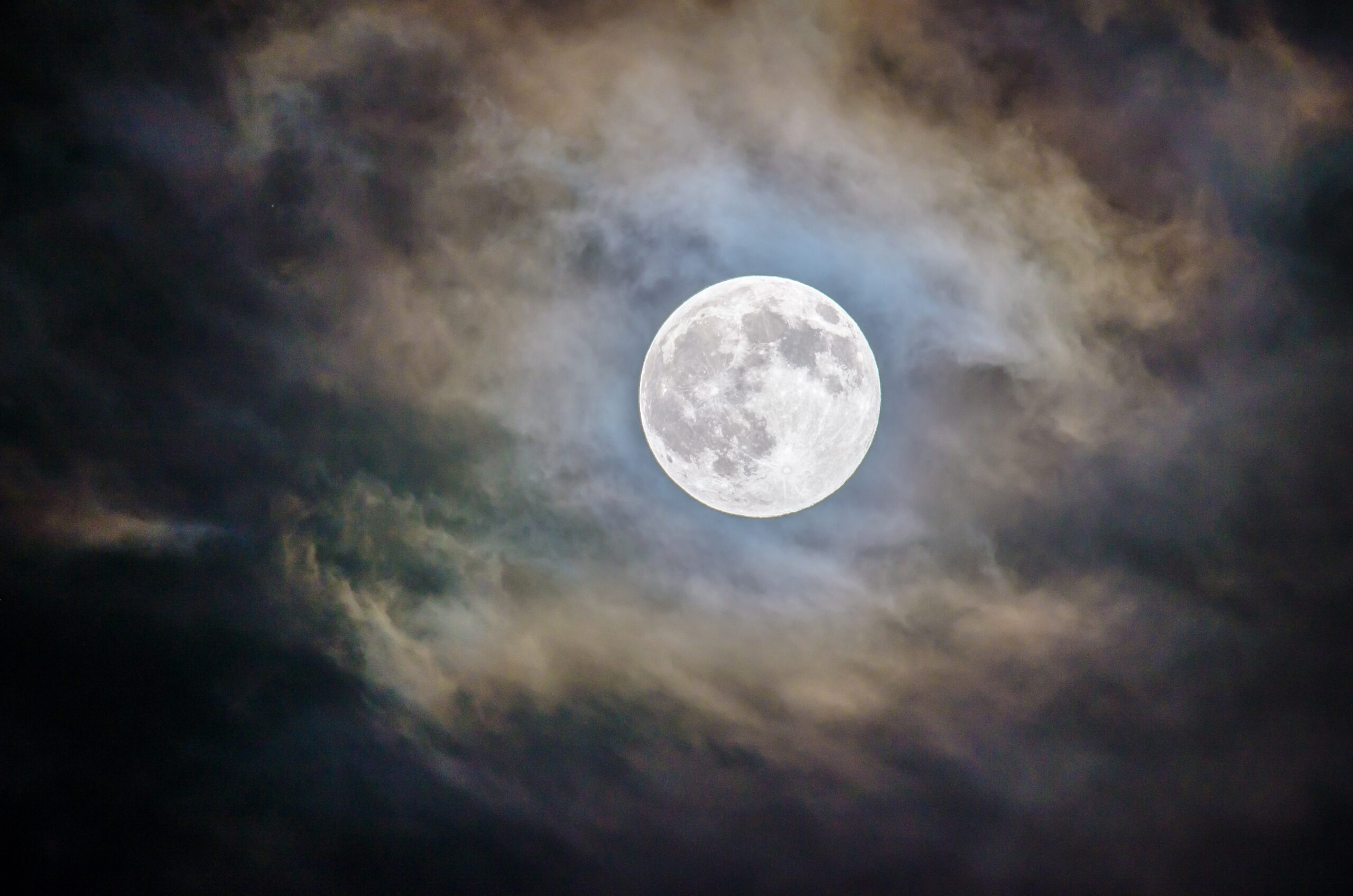 Gardening by the Moon